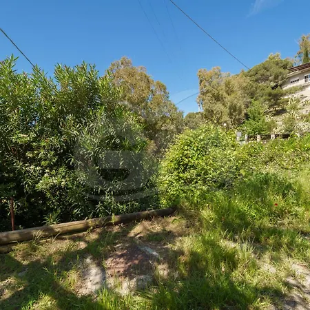 Apartment Casa Dell'asino - Goelba Fetovaia